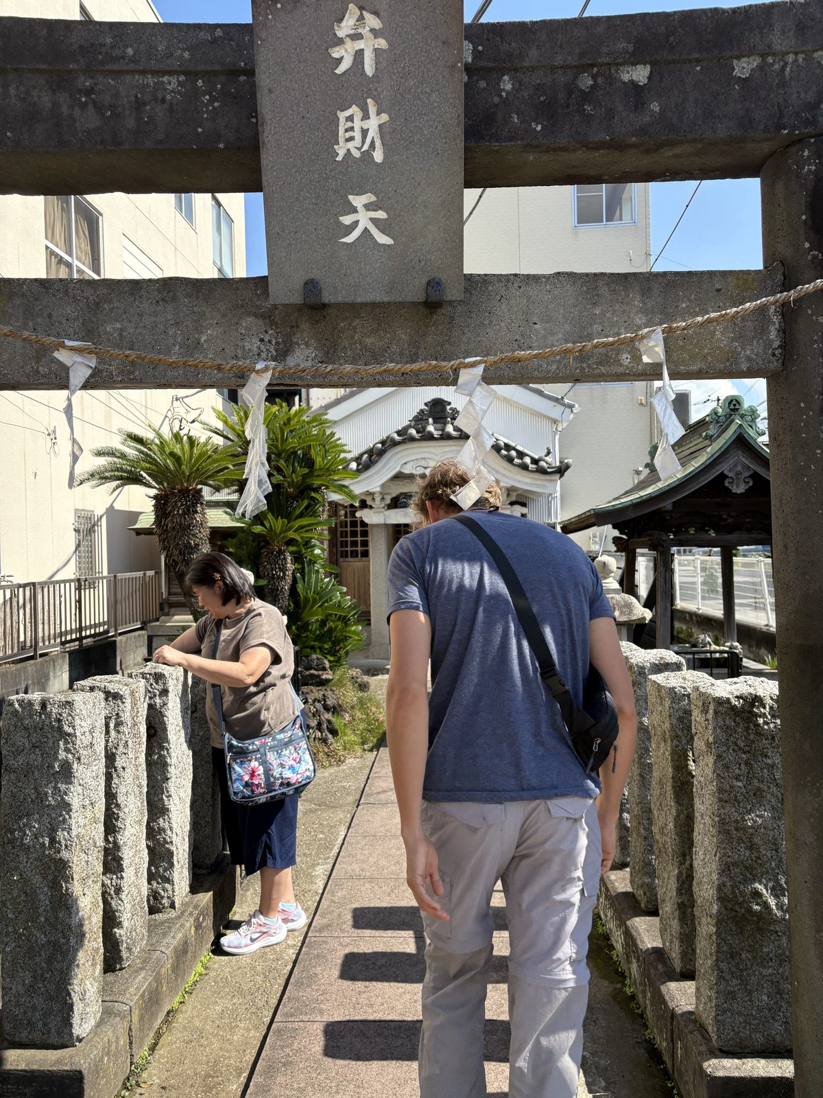 Blaze wandering through a shrine gate in Japan